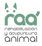 Imatge RAA Rehabilitación y Acupuntura Animal 
